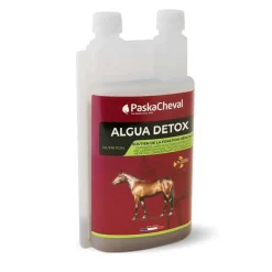 PASKACHEVAL Algua Detox> Digestion