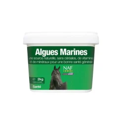 NAF Algues Marines> Etat Général