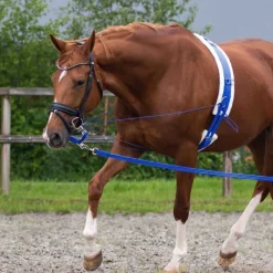 QHP Alliance de Longe> Mousqueton|Longe