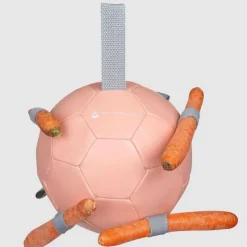 WALDHAUSEN Balle à Carottes> Jouets Pour Chevaux