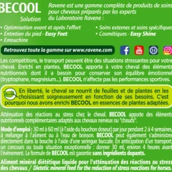RAVENE Becool anti-stress> Comportement