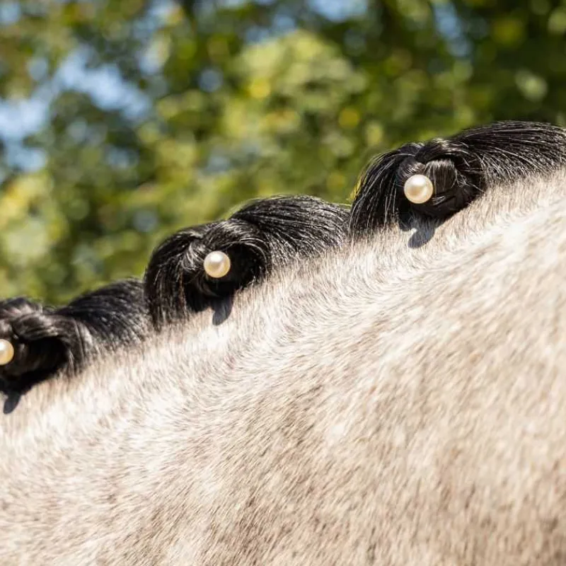 QHP Bijou de crinière Perle> Nattage|Brosses À Crins Et Peignes