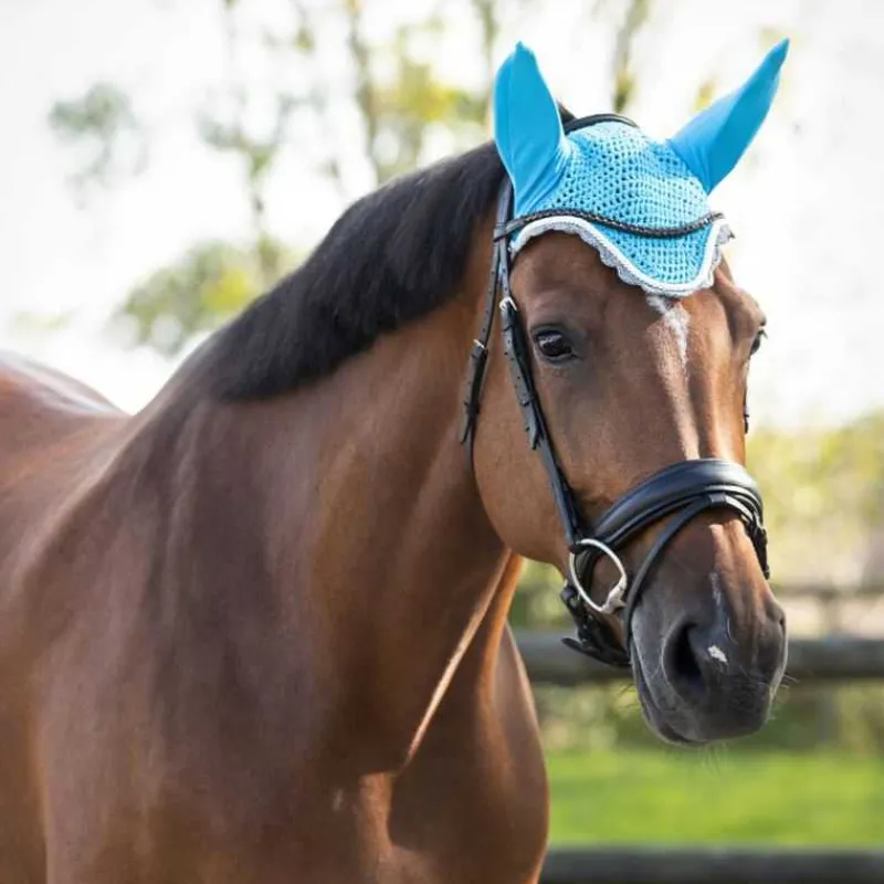 Q-ESSENTIALS Bonnet anti-mouche Color> Bonnet