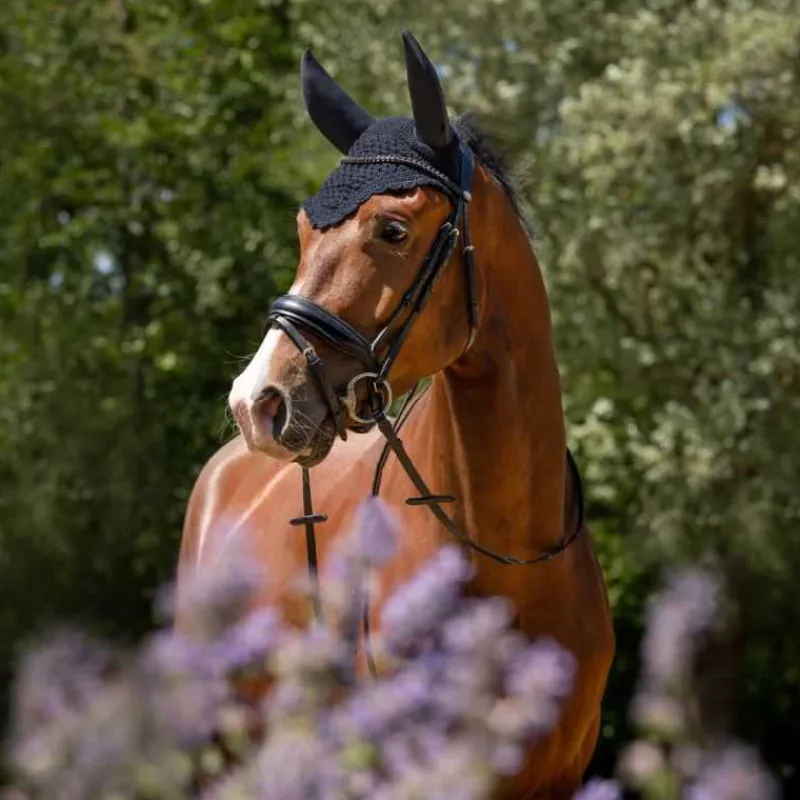 QHP Bonnet anti-mouches soundless Flore> Bonnet