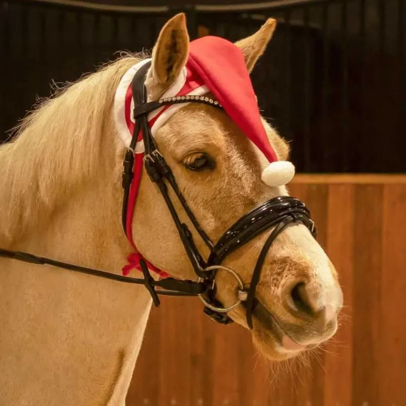 QHP Bonnet de Noël Cheval> Bonnet