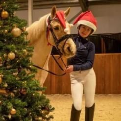 QHP Bonnet de Noël Cheval> Bonnet