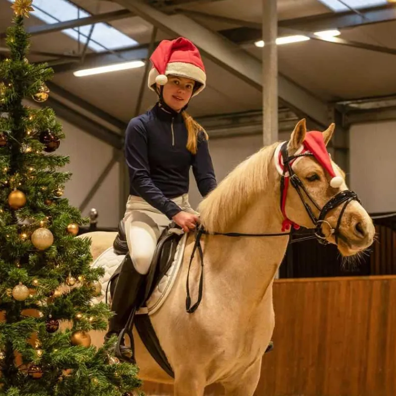 QHP Bonnet de Noël Cheval> Bonnet