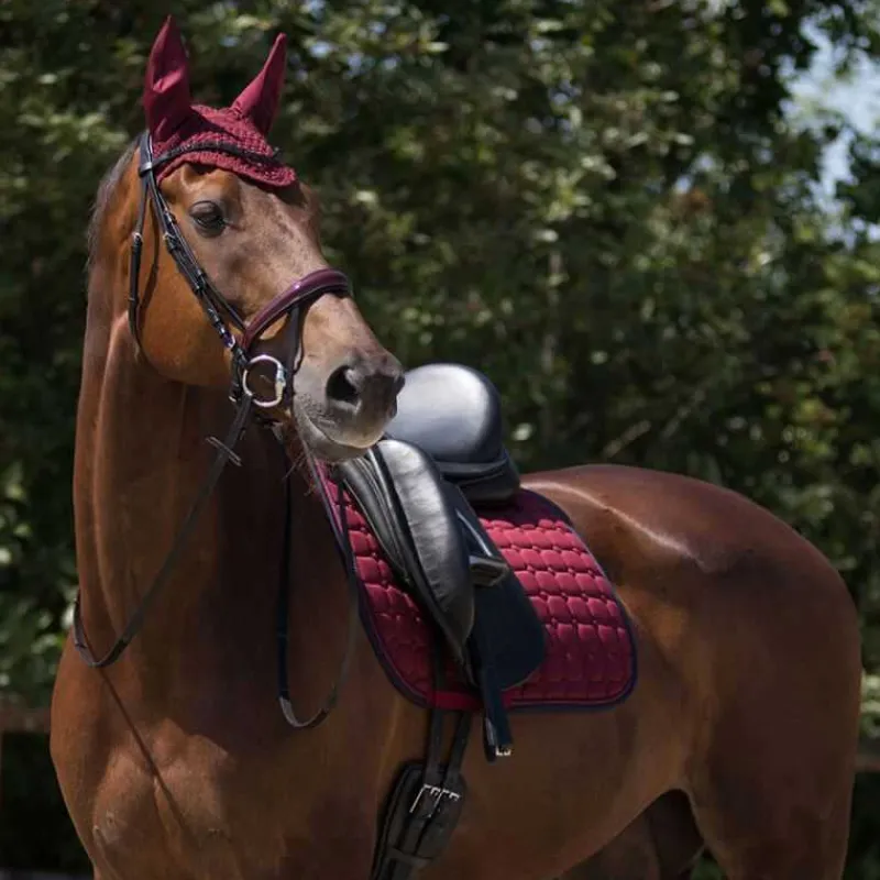 QHP Bonnet Florence> Bonnet