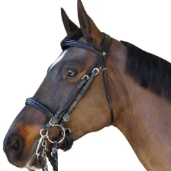 CANTER Bride pull-back Euro> Bride