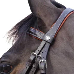 CANTER Bridon Alme><noscript><img data-lazyloaded=