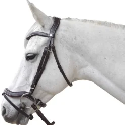 CANTER Bridon Baloubet> Bridon