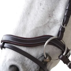 CANTER Bridon Baloubet><noscript><img data-lazyloaded=