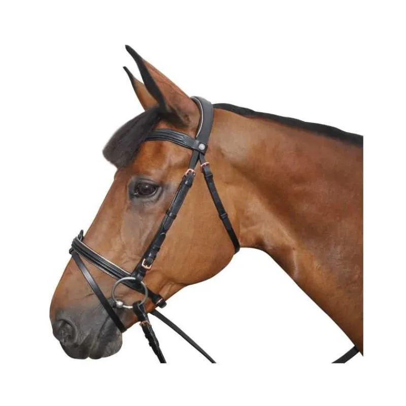 CANTER Bridon rose gold> Bridon