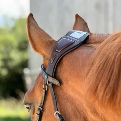 T de T Bridon Essentiel à pont><noscript><img data-lazyloaded=