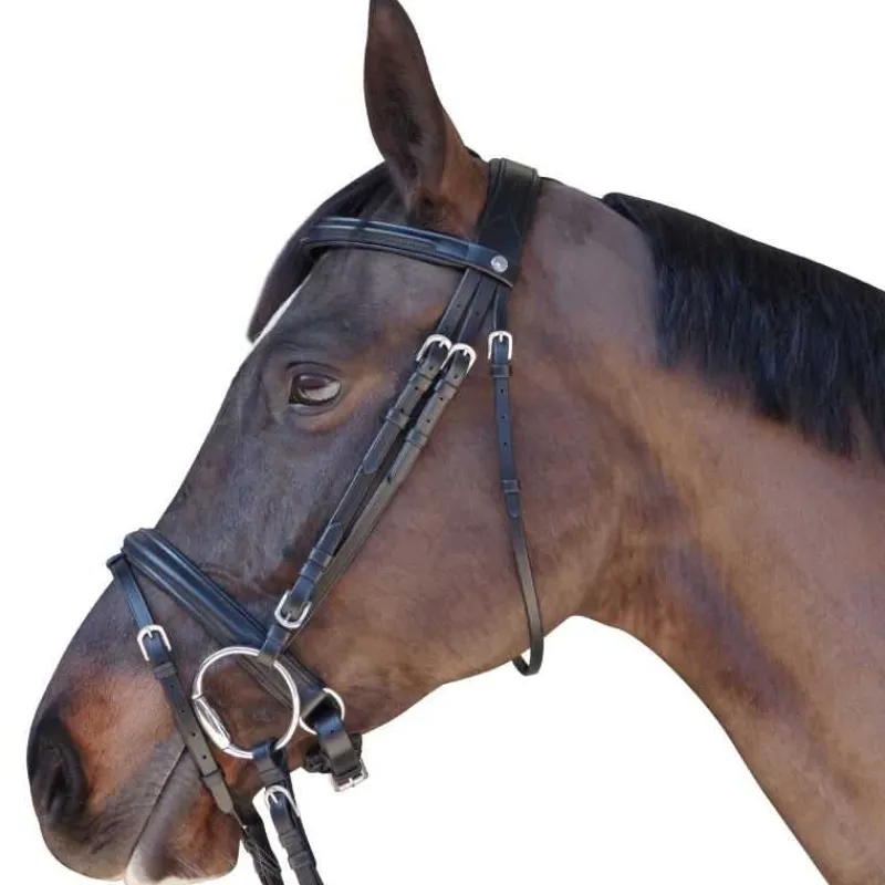 CANTER Bridon Euro Pull-back> Bridon