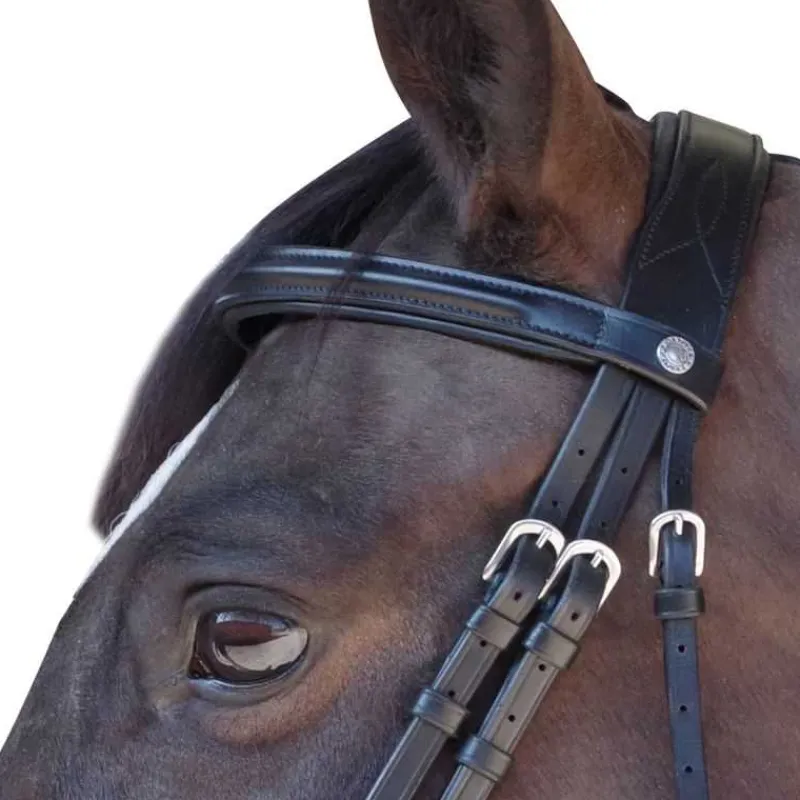 CANTER Bridon Euro Pull-back> Bridon