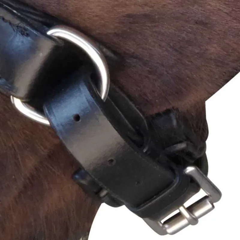CANTER Bridon Euro Pull-back> Bridon