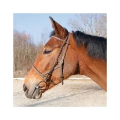 BIOTACK® Bridon Licol Biotack T de T><noscript><img data-lazyloaded=
