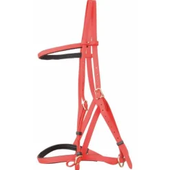 BIOTACK® Bridon Licol Biotack T de T><noscript><img data-lazyloaded=