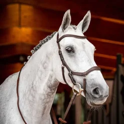 HORSEWARE Bridon Micklem 2 compétition> Bridon
