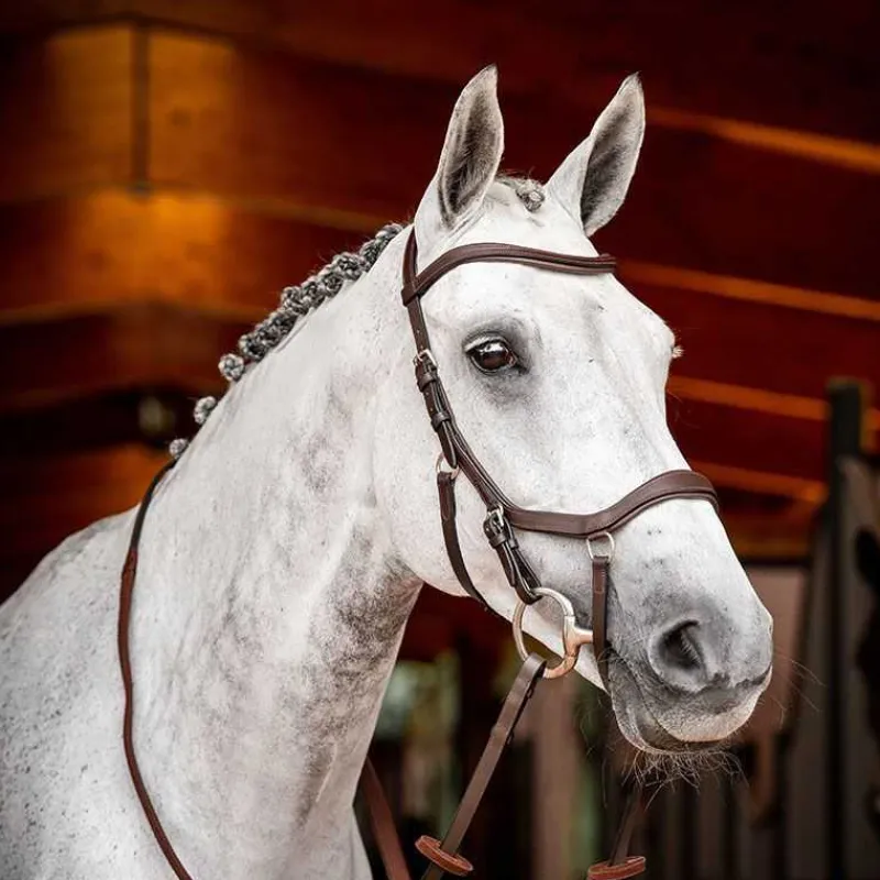 HORSEWARE Bridon Micklem 2 compétition> Bridon