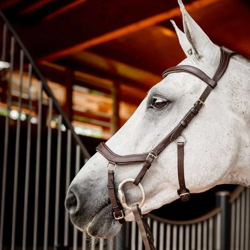 HORSEWARE Bridon Micklem 2 compétition> Bridon