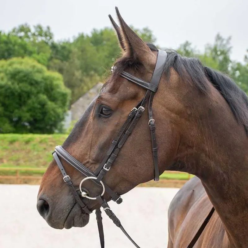 HORSE & GO Bridon muserolle combinée> Bridon