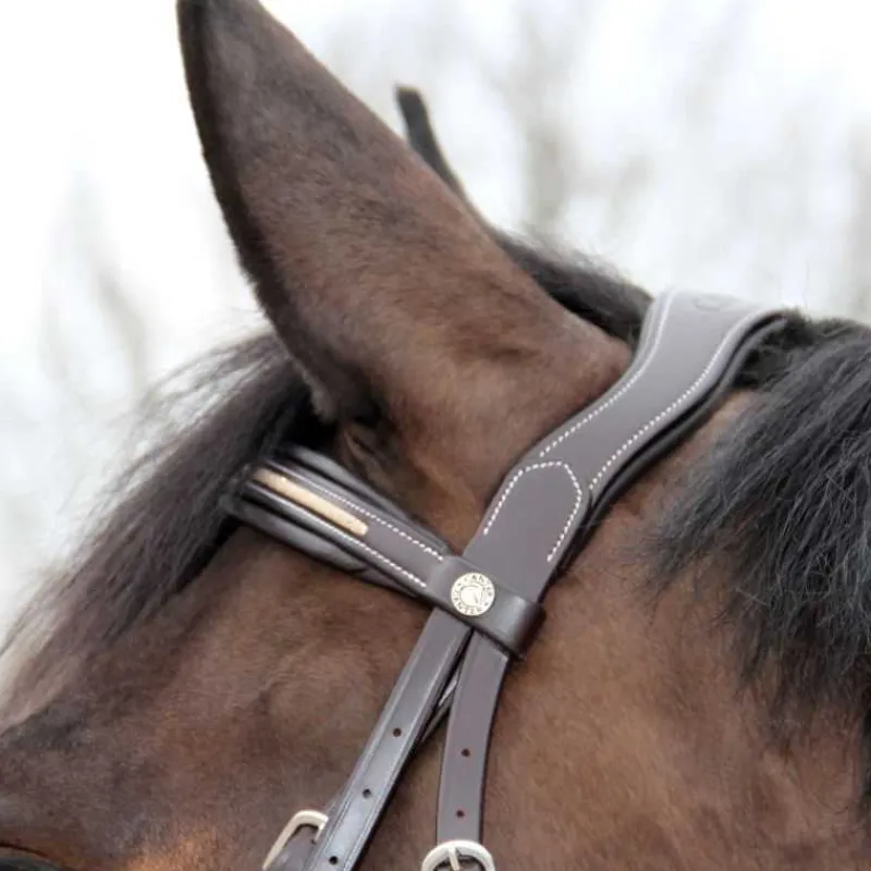 CANTER Bridon Mylord> Bridon