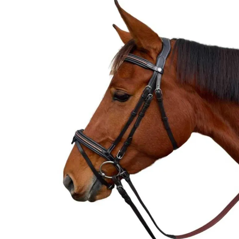 CANTER Bridon Mylord> Bridon