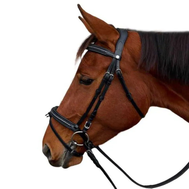CANTER Bridon Mylord> Bridon