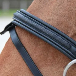 CANTER Bridon Mylord><noscript><img data-lazyloaded=