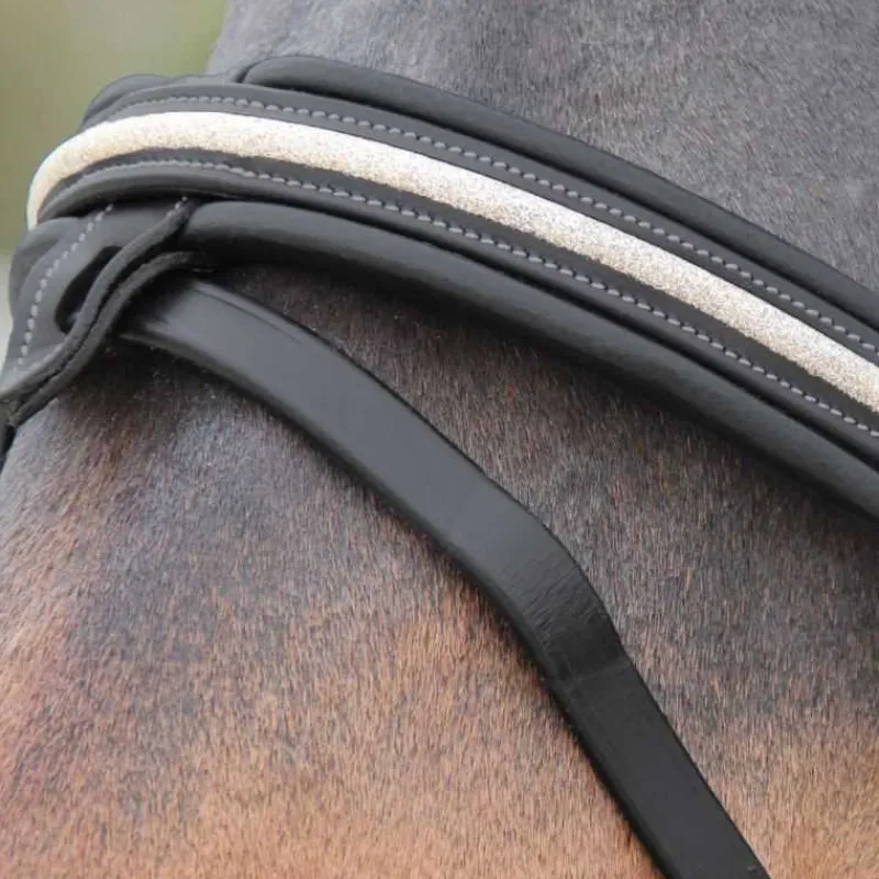 CANTER Bridon Mylord> Bridon