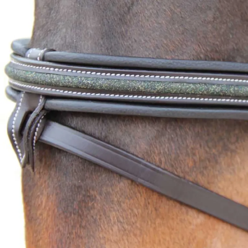 CANTER Bridon Mylord> Bridon