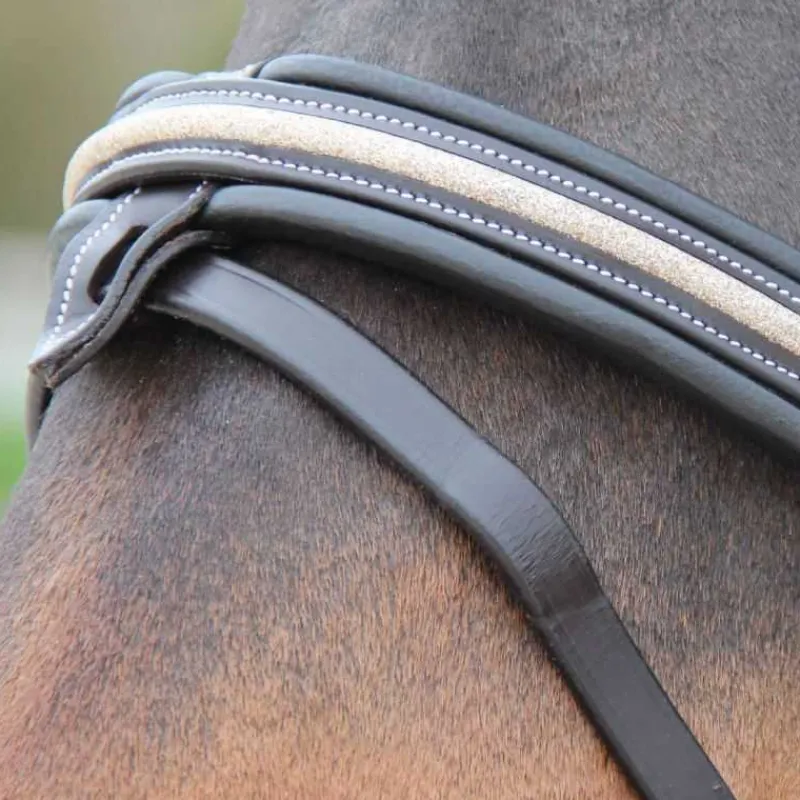 CANTER Bridon Mylord> Bridon