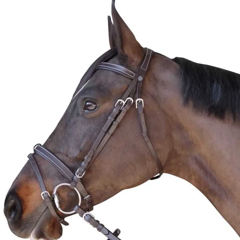 CANTER Bridon plat doublé> Bridon