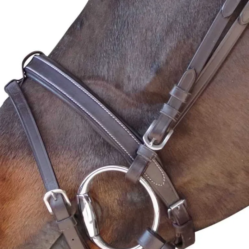 CANTER Bridon plat doublé> Bridon