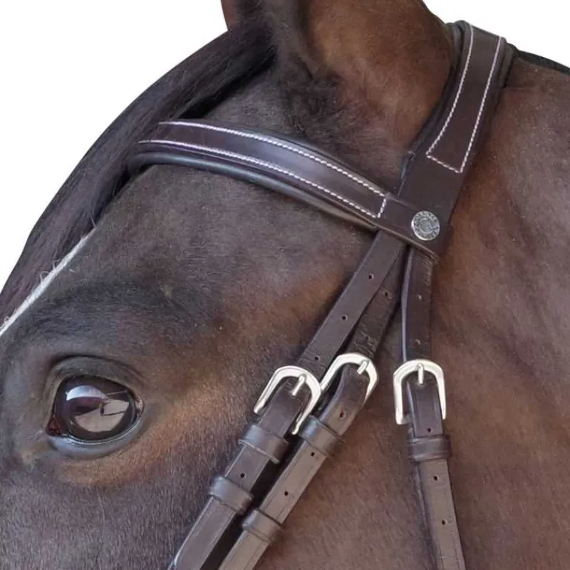 CANTER Bridon plat doublé> Bridon