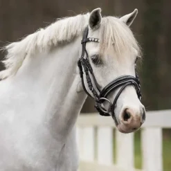 QHP Bridon poney Brixie><noscript><img data-lazyloaded=