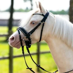 QHP Bridon poney Brixie><noscript><img data-lazyloaded=