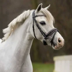 QHP Bridon poney Brixie><noscript><img data-lazyloaded=