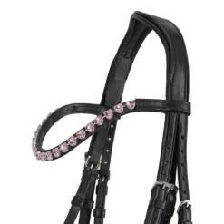 QHP Bridon poney Brixie><noscript><img data-lazyloaded=