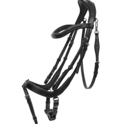 QHP Bridon Salerno><noscript><img data-lazyloaded=