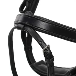 QHP Bridon Salerno><noscript><img data-lazyloaded=