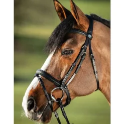 HFI Bridon Soft Master> Bridon