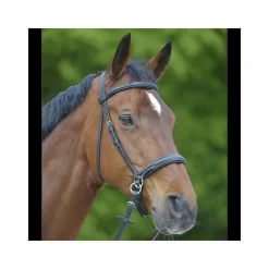 STAR Bridon sans mors> Licol En Cuir|Bridon