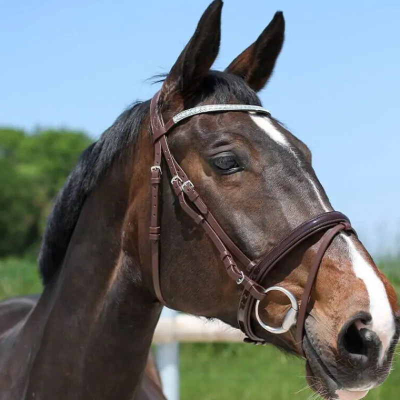 STATIONATA Bridon strass et verni> Bridon