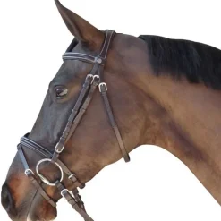 CANTER Bridon surpiqué combiné> Bridon