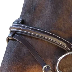 CANTER Bridon surpiqué combiné> Bridon