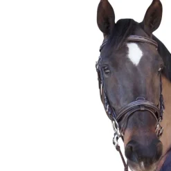 CANTER Bridon surpiqué combiné><noscript><img data-lazyloaded=