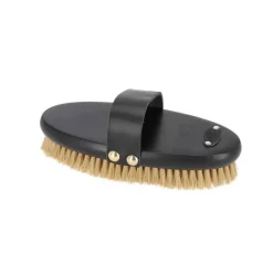 QHP Brosse douce Royal><noscript><img data-lazyloaded=